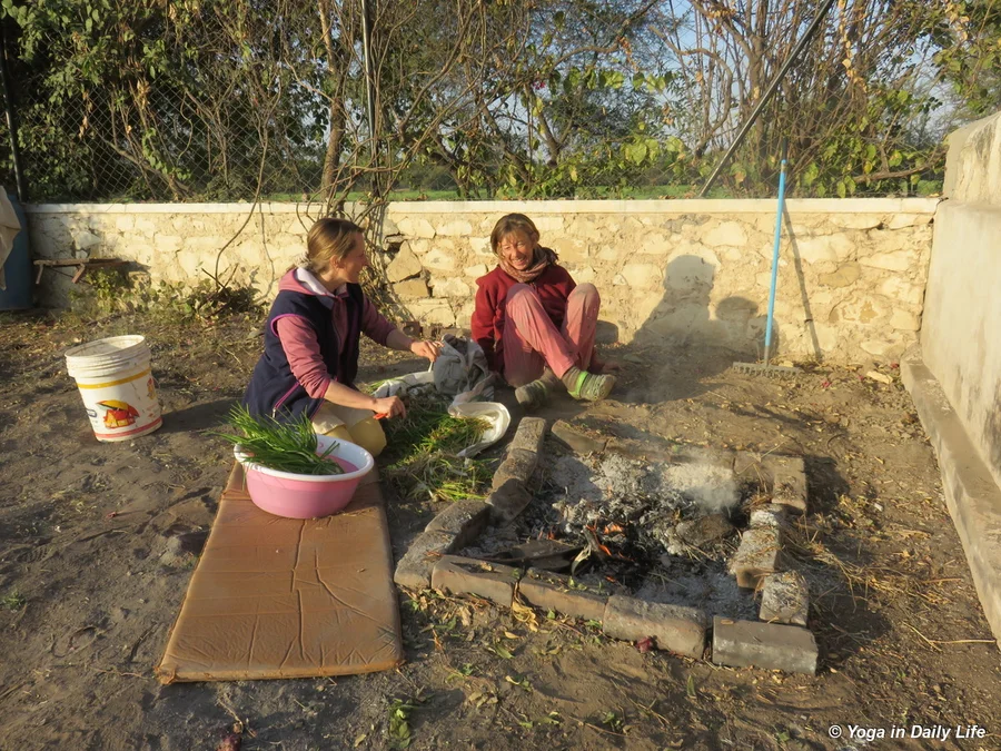 cleaning the salad near the morning fire 